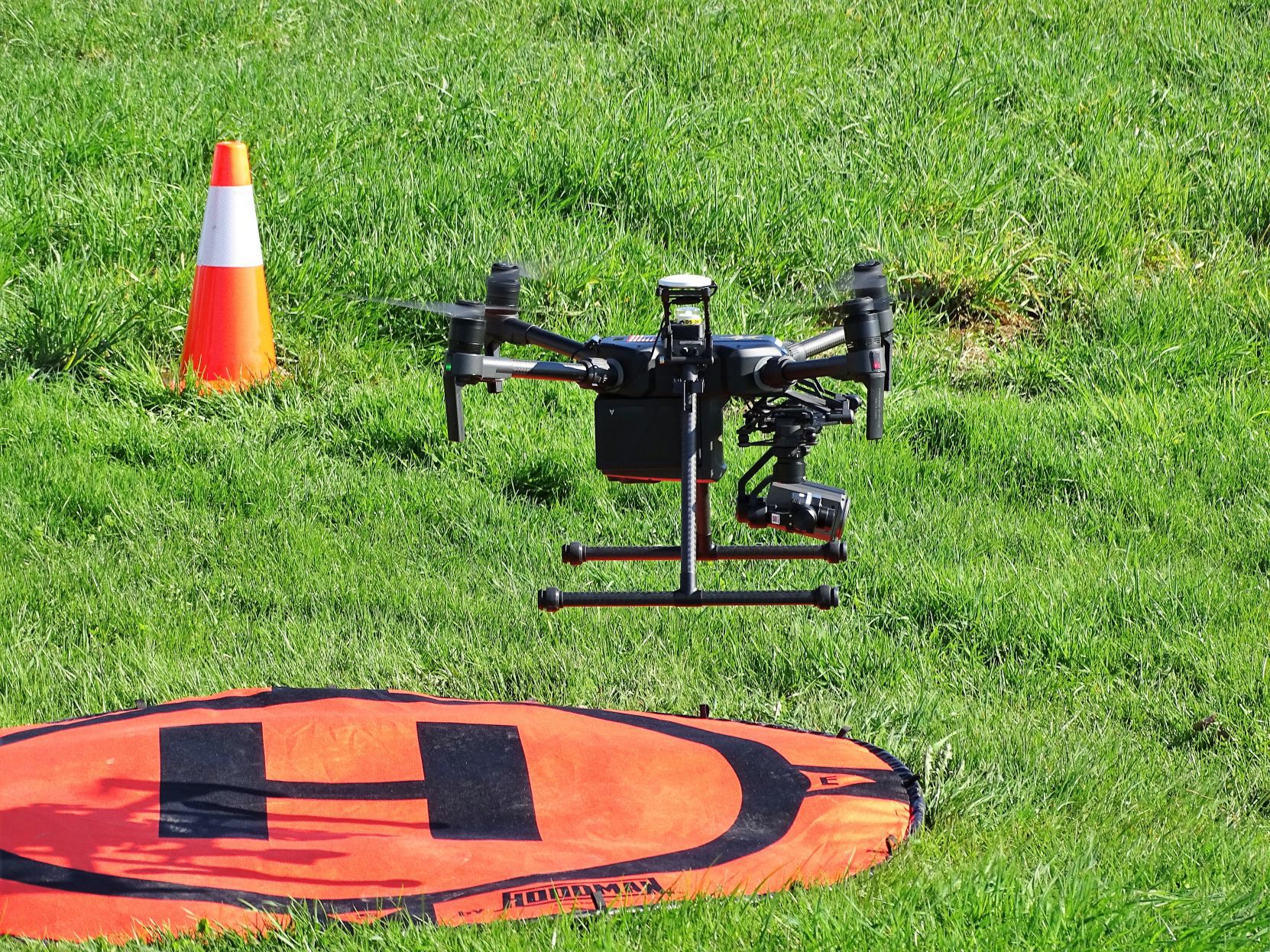 Drones and dogs